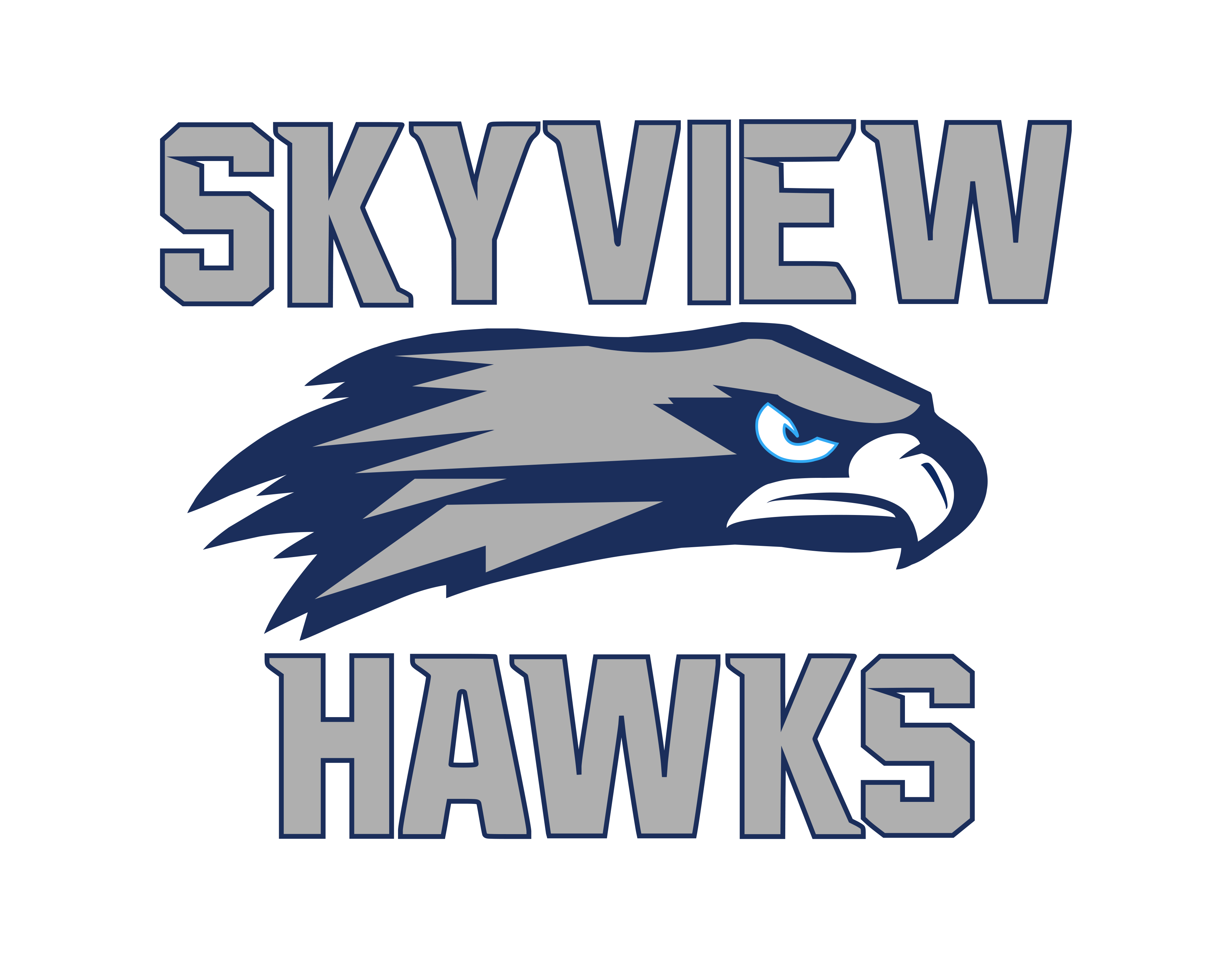 Skyview High School