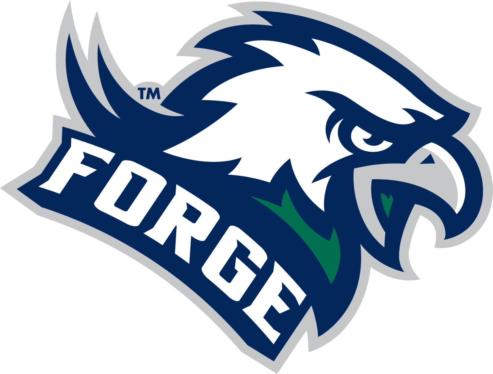 Colonial Forge High School