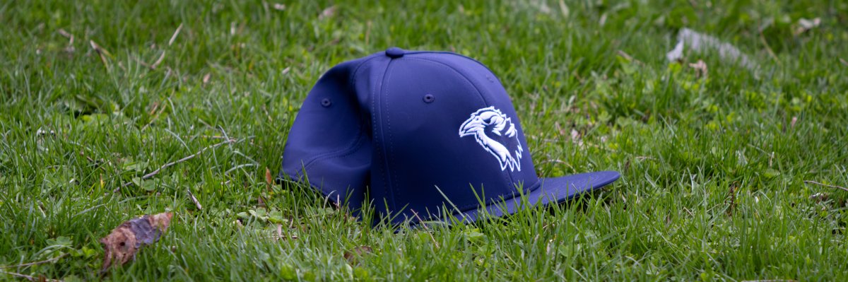 Intrinsic Downtown VS Holy Trinity Baseball